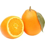 Hand Sinaasappel