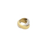 Bandhu Better Together Ring - Gold / Silver