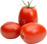 Roma Tomaten