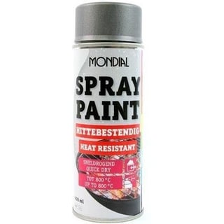 Spray Paint Hittebes. Antraci