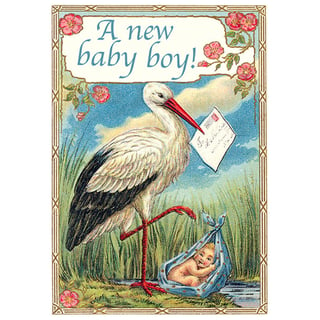 Madame Treacle The Stork A New Baby Boy