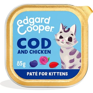 Cat Paté Kitten