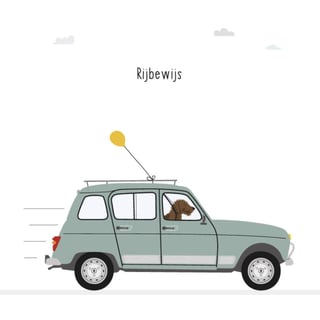 Frits Gevouwen Kaart - Rijbewijs
