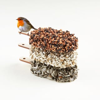 Desserts for Birds - Set