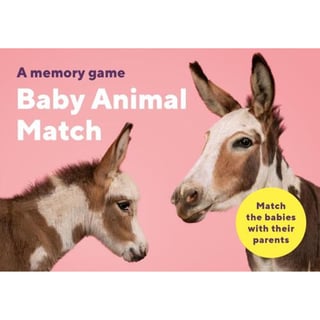 Memory Game Baby Animal Match