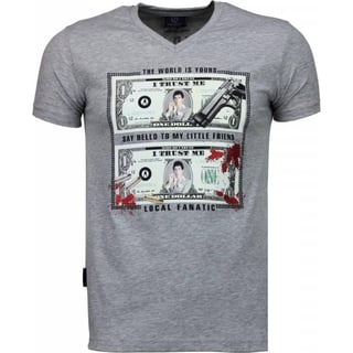 Scarface Dollar - T-Shirt - Grijs