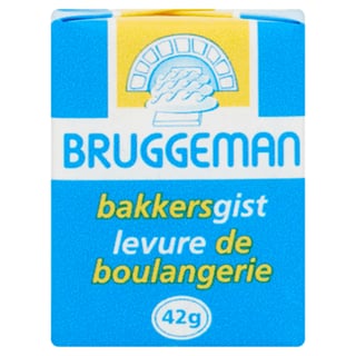 Bruggeman Verse Bakkersgist Mini