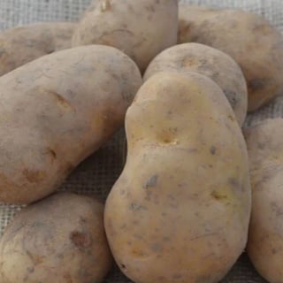 Bonken Aardappels