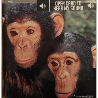 Really Wild Cards Wenskaart Met Geluid Endangered Wildlife Chimpansees