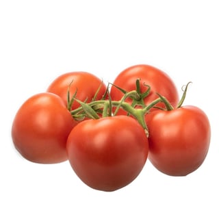 Tros-Tomaten