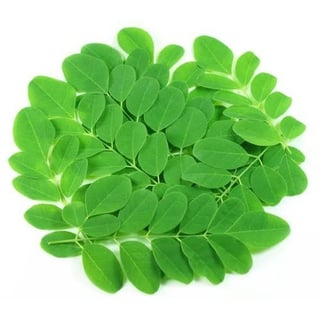 Drumstick Leaves