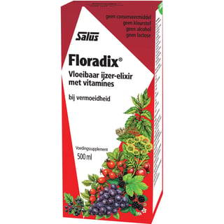 Floradix Ijzer-Elixer