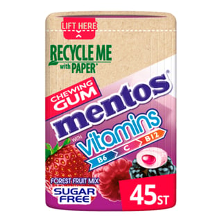 Mentos Gum Forest Fruit Mix