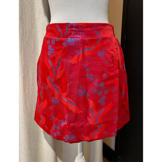 Fantasy mini Skirt - Red