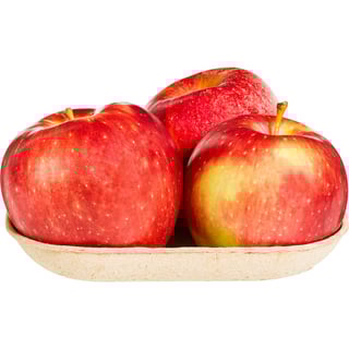 Royal Gala Appels