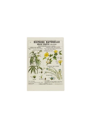 Botanical Hemp Postcards - 2