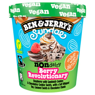 Ben&Jerry's Sundae Non-Dairy Raspberry