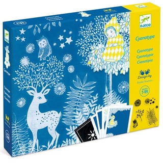 Djeco Cyanotype Bij Maanlicht