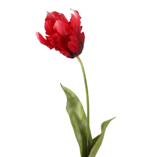 Kunstbloem Papegaai Tulp Cerise Op Steel 83cm