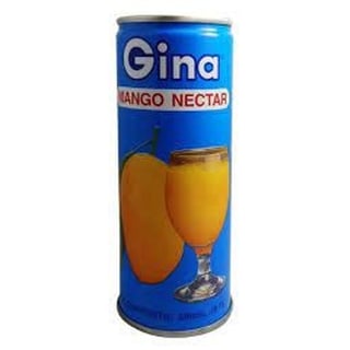 Gina Mango Nectar 240 Ml
