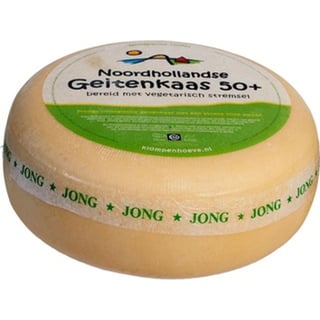 Geit Jong