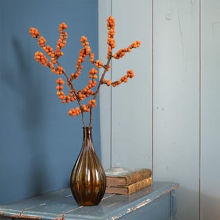 Tak bes ilex oranje