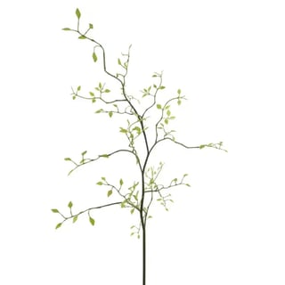 Kunstbloem Kamperfoelie Groen Tak 96cm