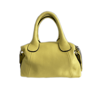Hand and Schoulder bag lime