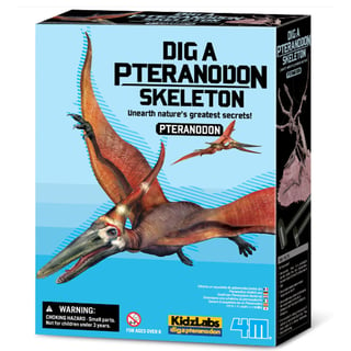 4M KidzLabs Graaf Je Dinosaurus Op Pteranodon 8+