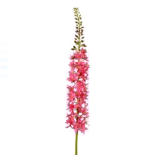 Kunstbloem Eremurus Roze Op Steel 94cm