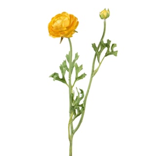 Kunstbloem Ranonkel Geel 2 Bloemen Op Steel 47cm