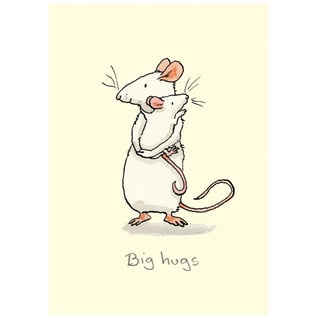 Two Bad Mice Anita Jeram Big Hugs