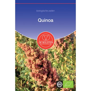 Quinoa - Chenopodium Quinoa