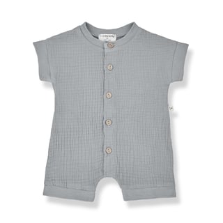 1+ In The Family Romper Smoky Federico
