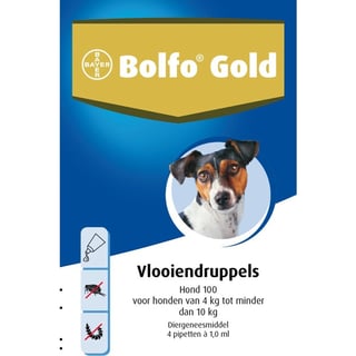 Bolfo Gold Hond 100 -4 Pipet