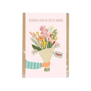 Blossombs - Bloembommetjes Mini Giftbox Boeket Mama