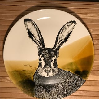 Hunting Servies Dinerbord 30 Cm Haas
