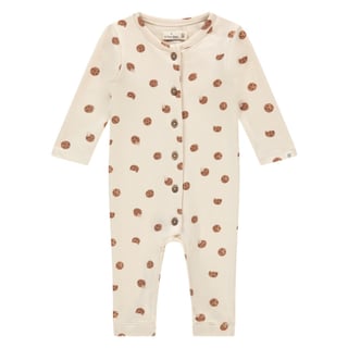 A Tiny Story Baby Suit Cookies