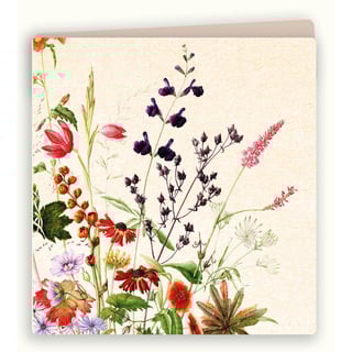 Kaart Marianne Bloemen Hessenhof