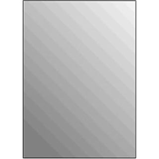 Plieger Basic 4Mm Rechthoekige Spiegel 90X45Cm Zilver 4350052