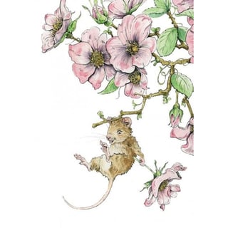 Mouse Rose