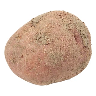 Aardappel Bildstar Bio