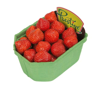 Hollandse Aardbeien Klasse 1
