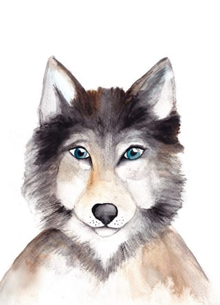 Ansichtkaart Fritsy- Wolf