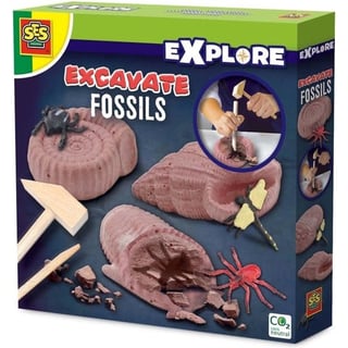 Ses Explore Fossielen Opgraven 5+