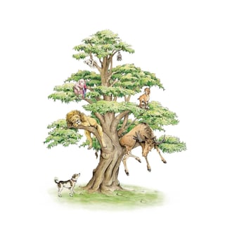 The Animal Tree