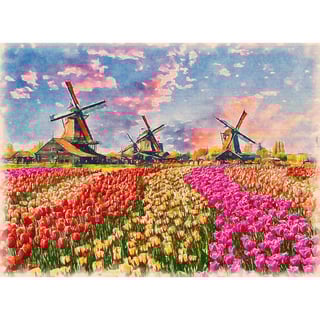 Dutch Landscape Poster - Windmill & Tulip Fields