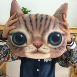 Kussen Kat. Grappige kussen in een vorm van kop van een kat. Cadeau voor kind of volwassen. Leuke kussen Kat.Stijl 2