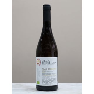 Trachite Bianco 2019