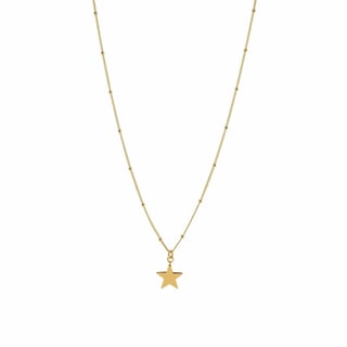 Silver Necklace with Star - Sterling Silver / Gold Plated